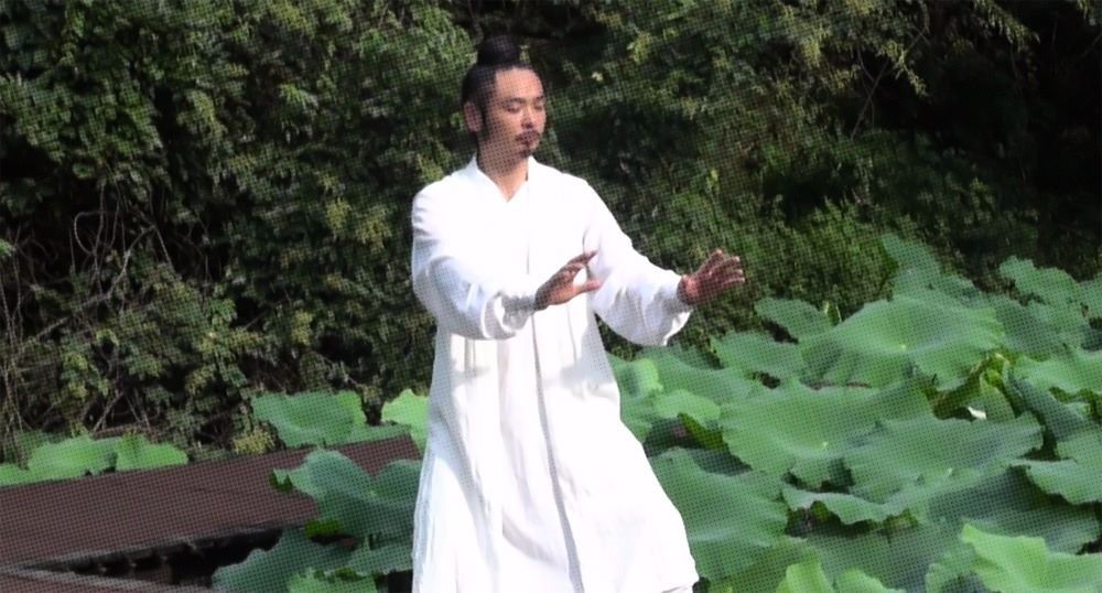 武當(dāng)密傳五形功